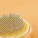 Removedor de pelos para pets - Modelo Abóbora